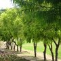 DSC02346.JPG