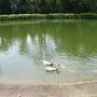 DSC02349.JPG