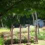 DSC02345.JPG