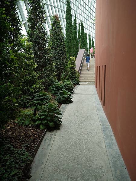 P1170925