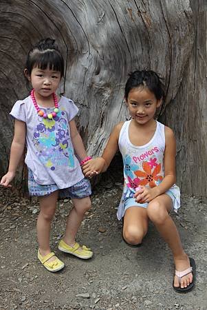 IMG_6431.JPG