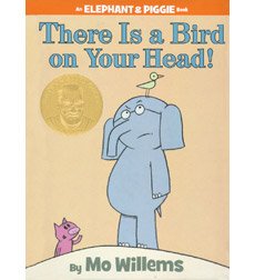 There is a bird on your head