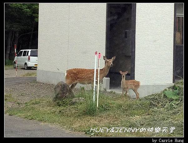 20130720_01 清晨知床野營場10