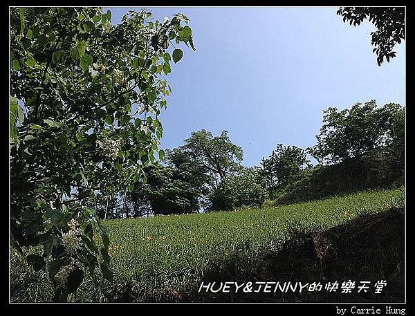 20140426-27_13 山徑尋訪05