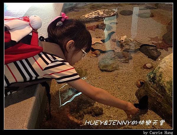 20140601_04 澎湖海洋水族館 93