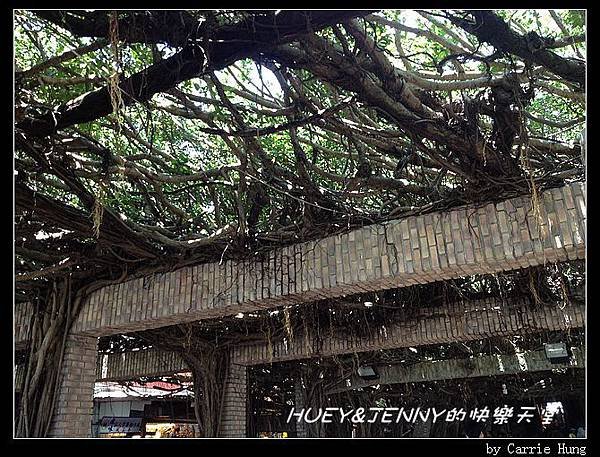20140601_05 通樑 10