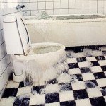 ToiletOverflow_300_0410-md-150x150