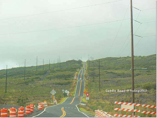 saddle road5.JPG