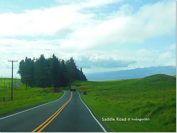 saddle road 8.JPG