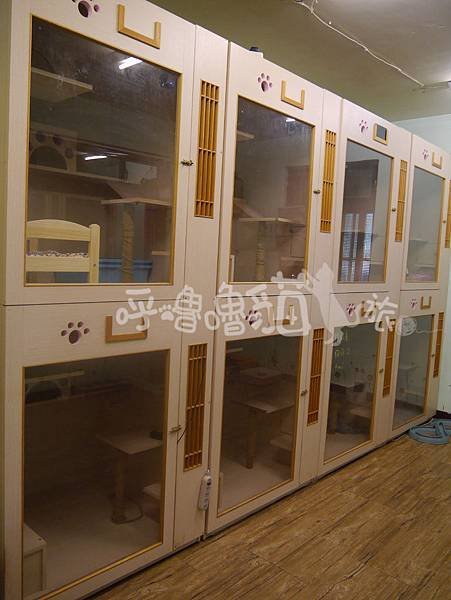 P1010727.jpg