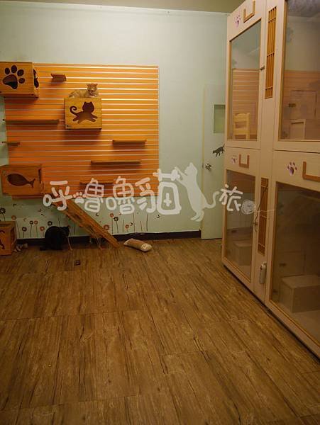 P1010728.jpg