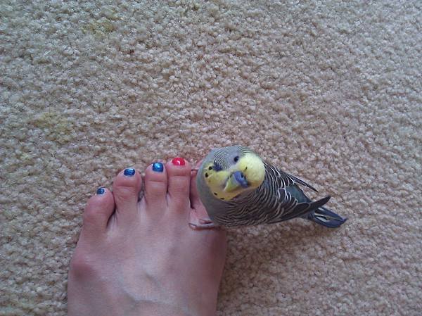 2011 098.jpg