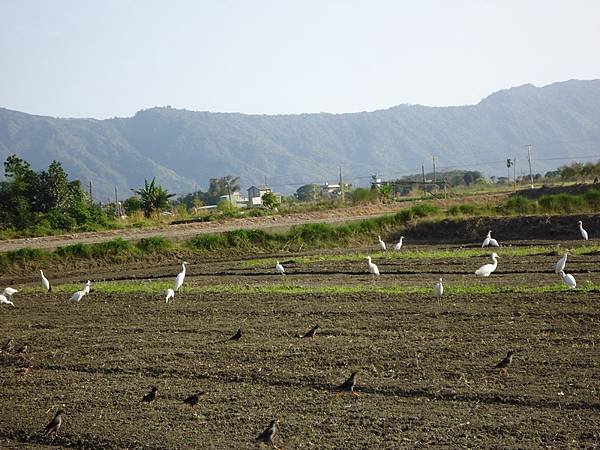 DSC00943_調整大小