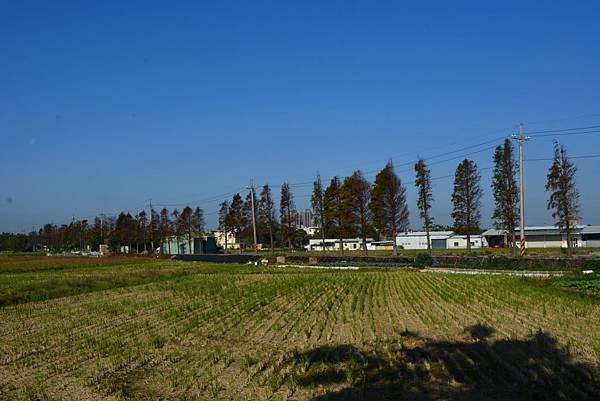 DSC_0694.JPG