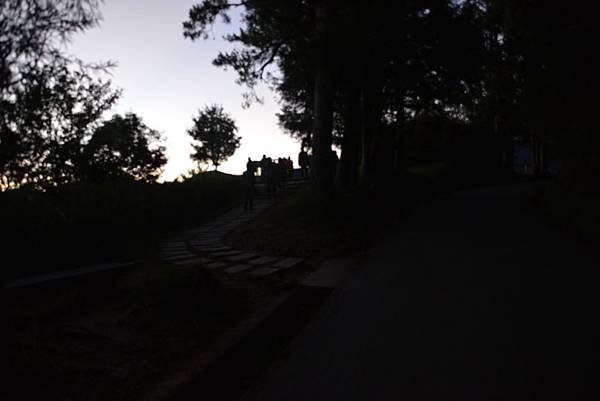 DSC_5385.JPG