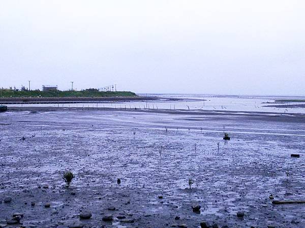 【彰化】2023王功蚵嗲-福海宮必吃《口福海產》*每周三公休