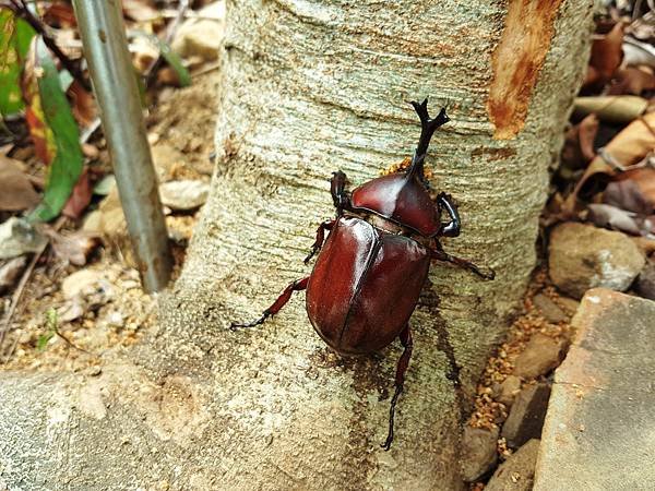 20180610_134934.jpg