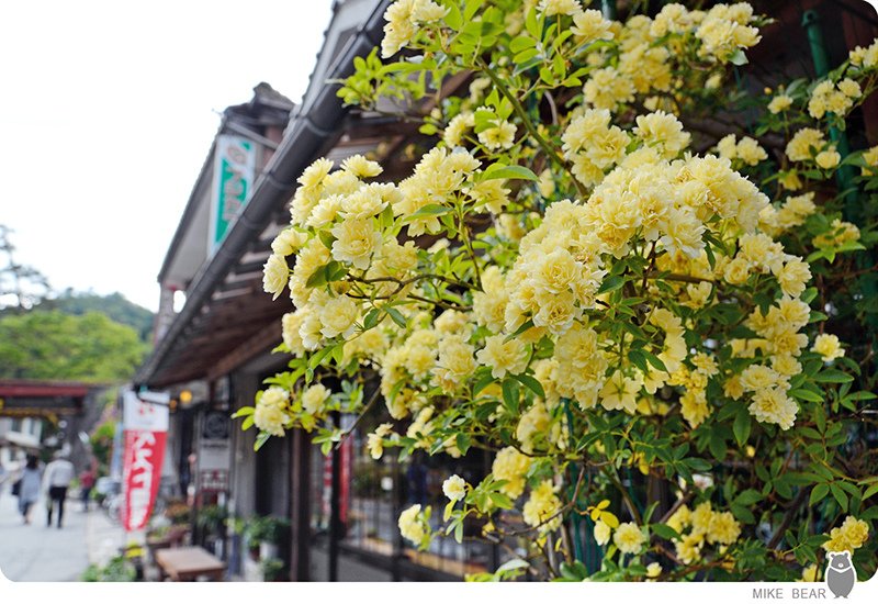 日本山陽七日旅．第五日
