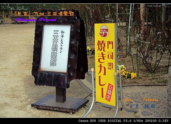 041.jpg