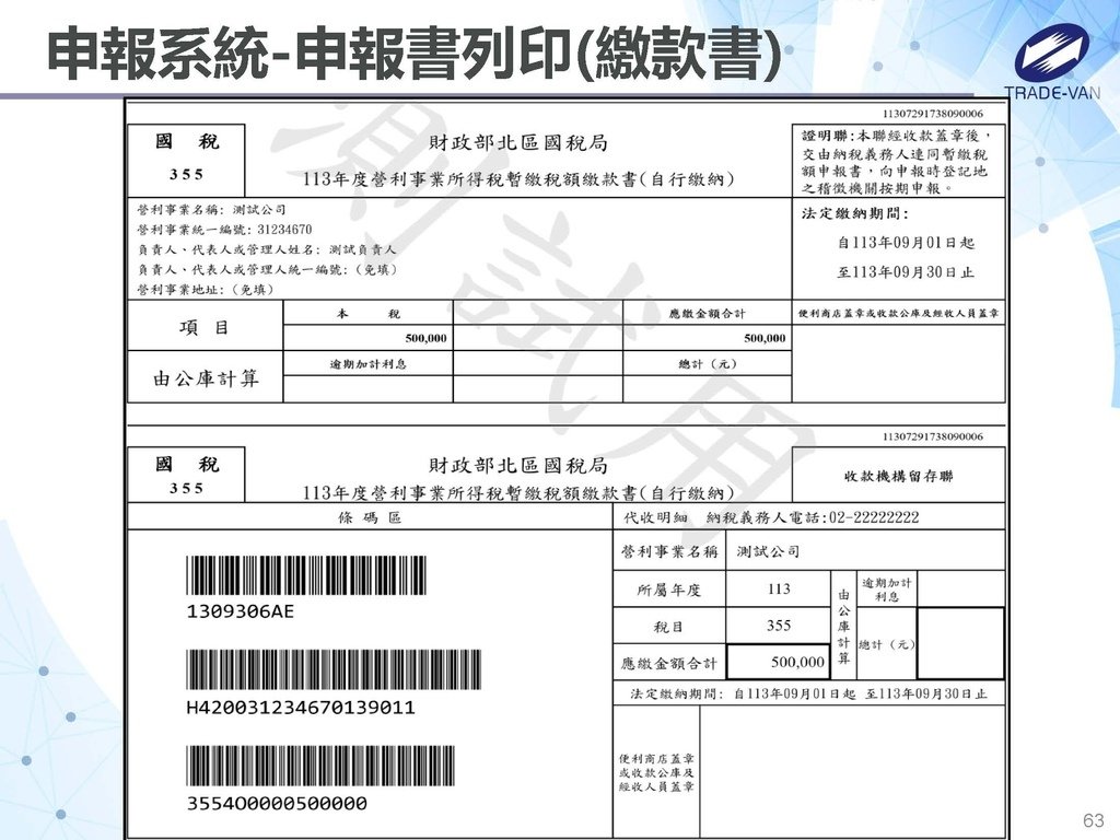 113年度暫繳網路申報作業系統操作講義_頁面_63.jpg