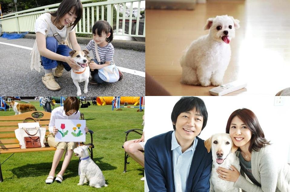 狗狗當家3.JPG