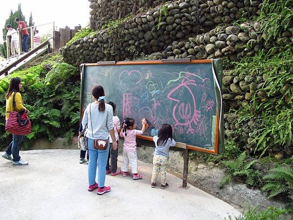 一起去看鳥吧 --- 森林鳥花園（第三天）