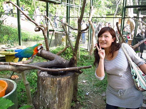 一起去看鳥吧 --- 森林鳥花園（第三天）