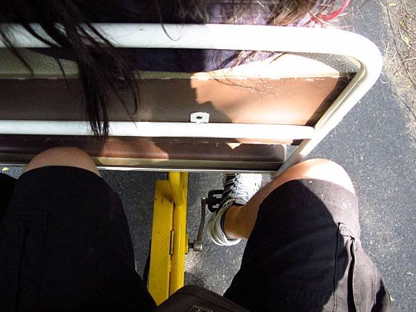 桃園新屋綠色隧道 --- 桃園濱海騎腳踏車一日消遙遊