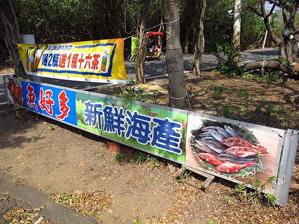 桃園新屋綠色隧道 --- 桃園濱海騎腳踏車一日消遙遊