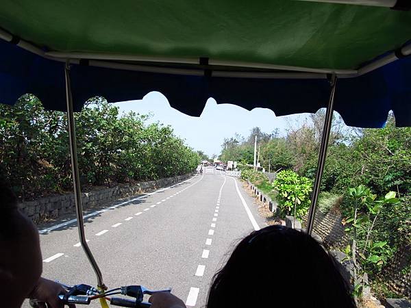 桃園新屋綠色隧道 --- 桃園濱海騎腳踏車一日消遙遊