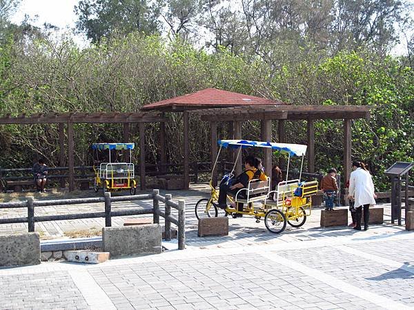桃園新屋綠色隧道 --- 桃園濱海騎腳踏車一日消遙遊