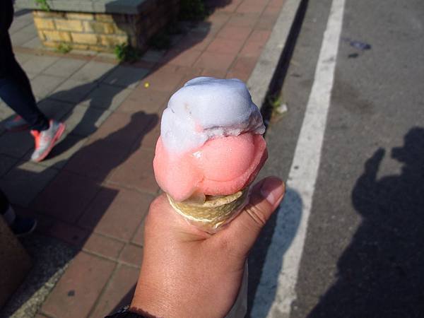 桃園新屋綠色隧道 --- 桃園濱海騎腳踏車一日消遙遊