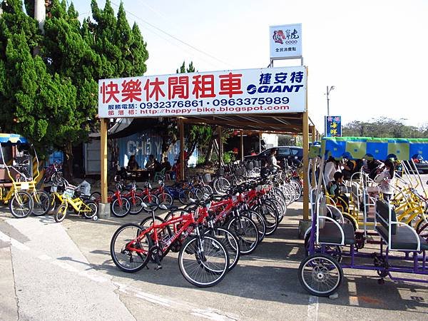 桃園新屋綠色隧道 --- 桃園濱海騎腳踏車一日消遙遊