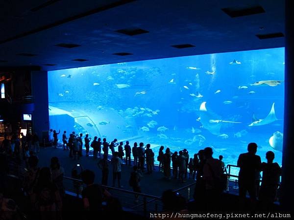 2015 年沖繩 Okinawa 自由 &amp; 自助行 --- 