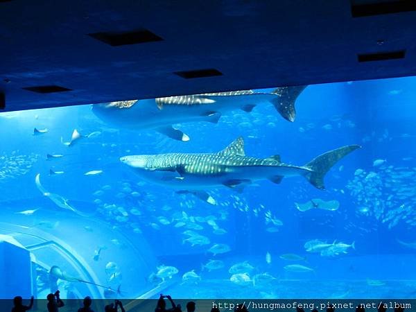 2015 年沖繩 Okinawa 自由 &amp; 自助行 --- 