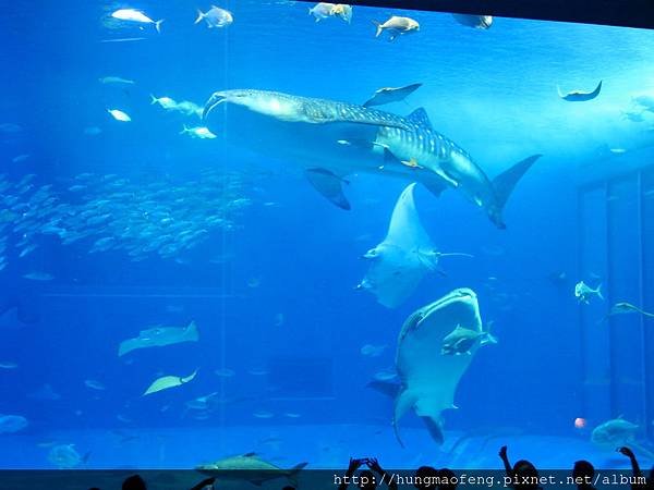 2015 年沖繩 Okinawa 自由 &amp; 自助行 --- 