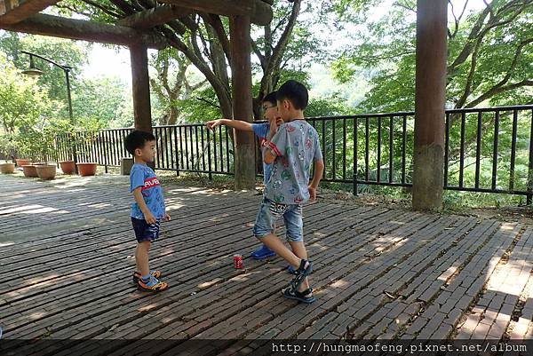 台中悠活假期 --- 明德水庫、苗栗後龍高鐵公園 ( 三 )