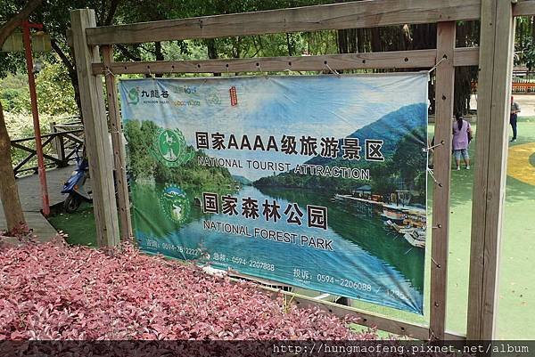 2019 福建泉州、莆田旅遊記 --- 九龍谷國家森林公園、