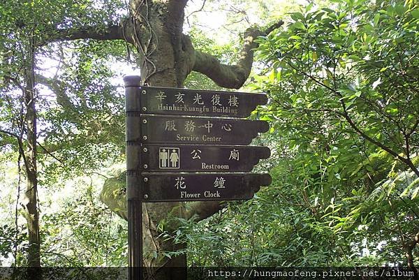 陽明山踏青一日行 --- 花鐘廣場、小油坑風景區、川湯溫泉餐