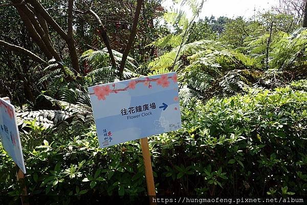 陽明山踏青一日行 --- 花鐘廣場、小油坑風景區、川湯溫泉餐