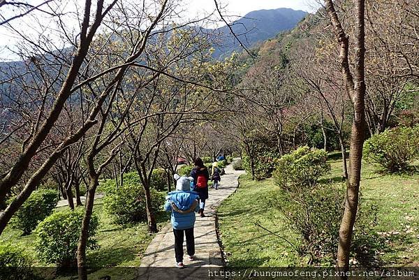 陽明山踏青一日行 --- 花鐘廣場、小油坑風景區、川湯溫泉餐