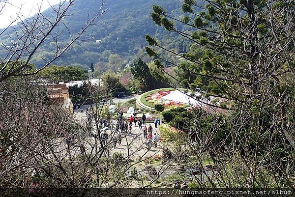陽明山踏青一日行 --- 花鐘廣場、小油坑風景區、川湯溫泉餐