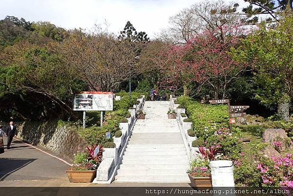 陽明山踏青一日行 --- 花鐘廣場、小油坑風景區、川湯溫泉餐