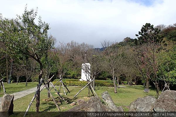 陽明山踏青一日行 --- 花鐘廣場、小油坑風景區、川湯溫泉餐