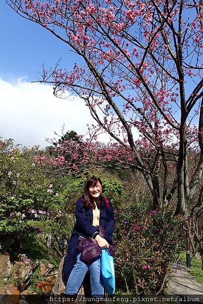 陽明山踏青一日行 --- 花鐘廣場、小油坑風景區、川湯溫泉餐