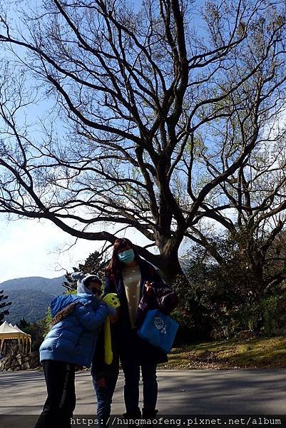 陽明山踏青一日行 --- 花鐘廣場、小油坑風景區、川湯溫泉餐