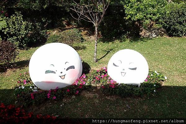 陽明山踏青一日行 --- 花鐘廣場、小油坑風景區、川湯溫泉餐