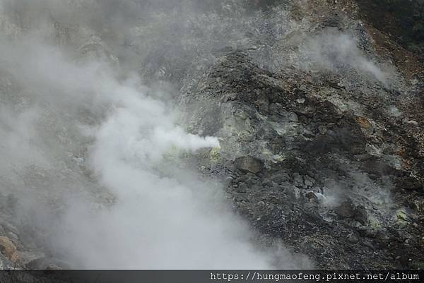 陽明山踏青一日行 --- 花鐘廣場、小油坑風景區、川湯溫泉餐