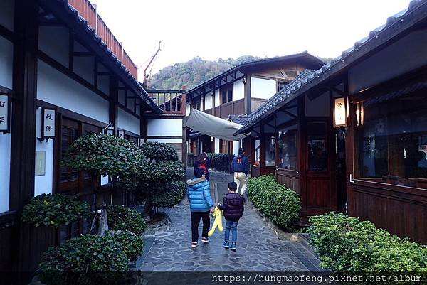 陽明山踏青一日行 --- 花鐘廣場、小油坑風景區、川湯溫泉餐
