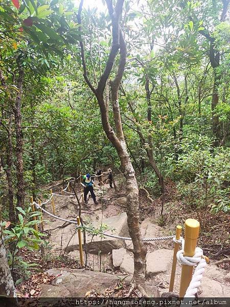 一起去爬山 --- 金面山環狀親山步道 （two）